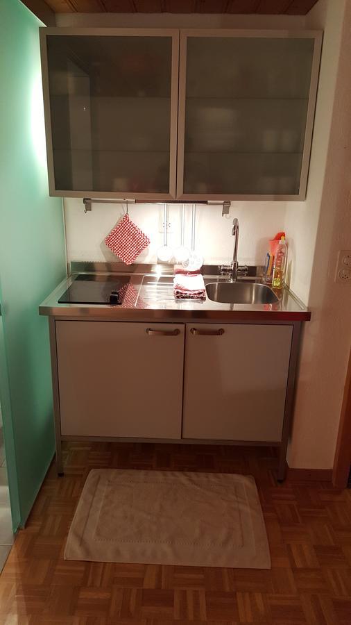 Bergluft Bed & Breakfast Lenk Ngoại thất bức ảnh